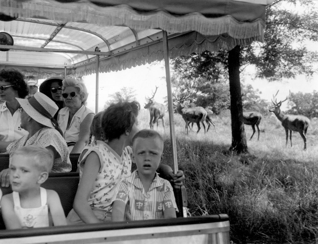 Grant's Farm in 1960
